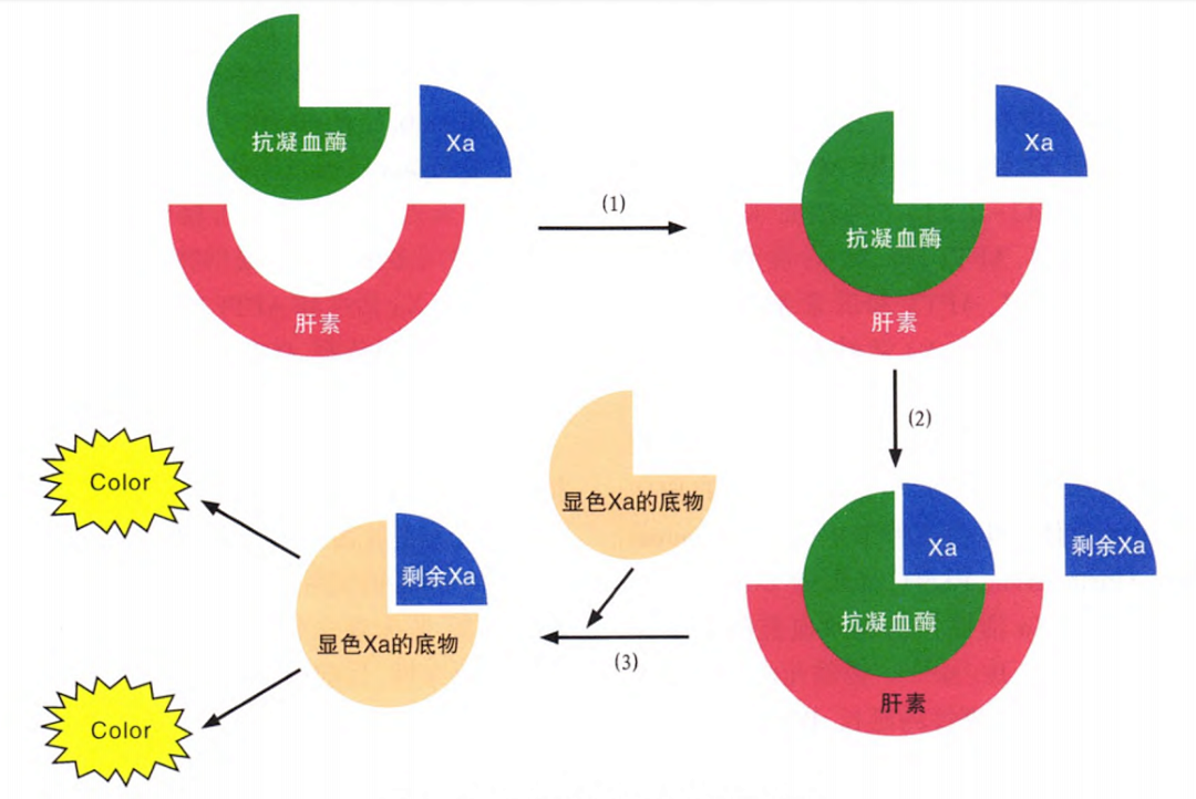 國產(chǎn)抗Xa質(zhì)量如何？多中心臨床研究來告訴你！